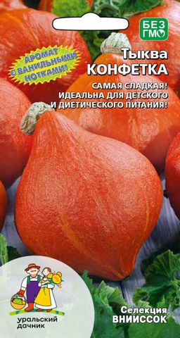 Тыква КОНФЕТКА (КАРАМЕЛЬКА)  Самая сладкая! Идеальна для диетического и детского питания! Аромат с ванильными нотками!
