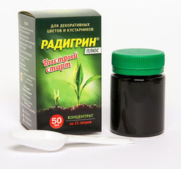 ЦИОН РАДИГРИН (Зеленый)