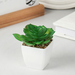 Цветочная композиция Кактус / WER-19 /уп 12/192/ микс - Галеонтрейд фото 22