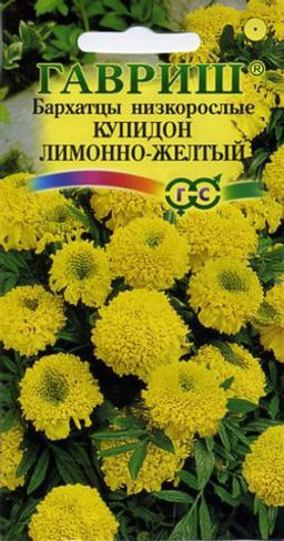 Бархатцы Купидон лимонно-желтый прямостоячие 20 см. (Тагетес) 0,05г (г)