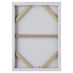 Картина - холст на подрамнике «Секрет», 50×70 см