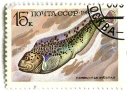 Марка Пятнистая зубатка 1983 год