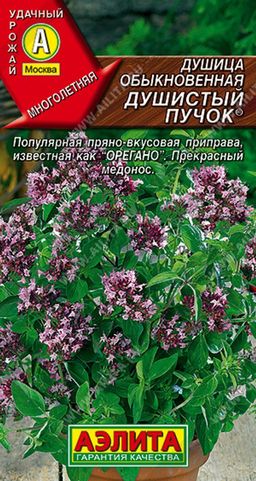 Душица обыкновенная Душистый пучок (2026)