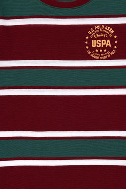 Базовая футболка бордового цвета для мальчика Неожиданная скидка в корзине - U.s. polo assn фото 4