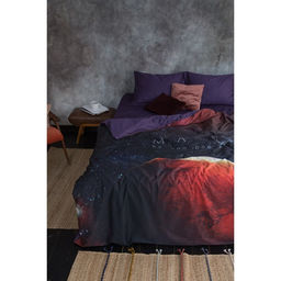 Постельное бельё Этель евро Red planet 200*215 см, 240*260 см, 50*70 см - 2 шт  фото 22