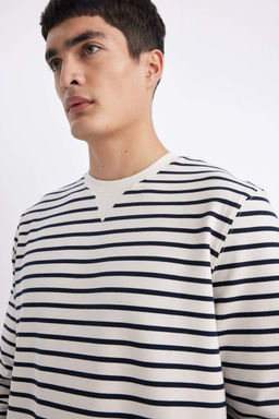 Толстовка в полоску Modern Fit с круглым вырезом - Defacto фото 4