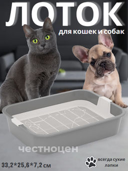 Лоток для кошек "Мурка" М6045