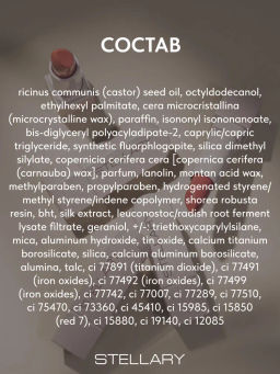 Stellary Помада для губ Устойчивая RICH NUDE тон 02 neutral beige  фото 7