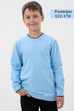 Толстовка Лицеист подростковая