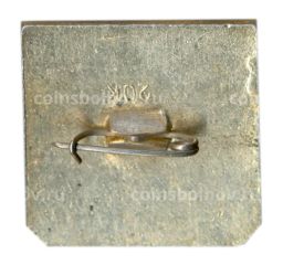 Значок Владимир