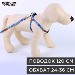 Комплект Любимчик, шлейка 24-36 см, поводок 120х1 см