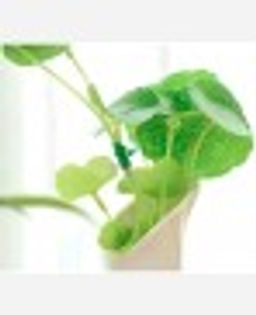 Проволока фиксатор, 30 метров, с резаком. 9046502