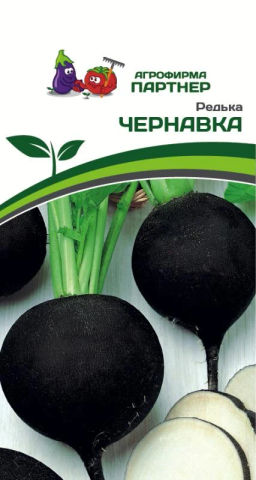 Редька Чернавка - Партнер фото 2