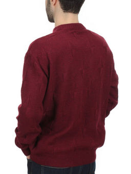 G636 VINOUS Джемпер мужской (100% шерсть) - Fashion фото 4