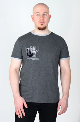 Футболка мужская Норман Ф-34 (48-60) меланж