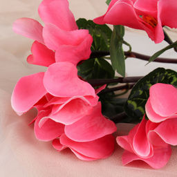 Цветок искусственный Цикломен / W367108 /уп 600/ - Галеонтрейд фото 13