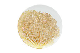 Набор тарелок Singapore, белый, 21x21 см, 4 шт - Anna lafarg фото 7