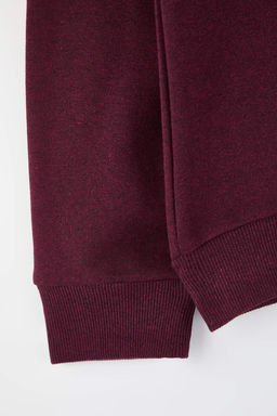 Siyah-Bordo-Lacivert 3lu Paket Regular/Normal Kesim Basic Ici Polar Sweatshirt TMNAW26SW00006