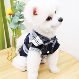 Кофта - рубашка фланелевая для мелких пород собак и кошек "BRO Style", цвет черный, р 2XL