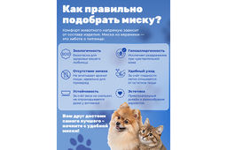 Миска для домашних питомцев 300 мл 12,5*12,5*6 см, с бамбуковой подставкой, серая - Elan gallery фото 4