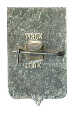 Значок Копейск