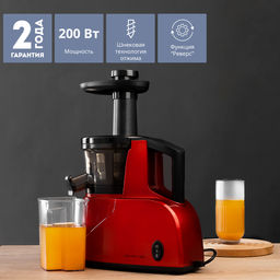 Соковыжималка шнековая GALAXY LINE GL0800 (видео в описании)