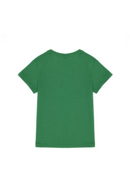 U. S. Polo Assn / Зеленая базовая футболка для мальчика - U.s. polo assn фото 2