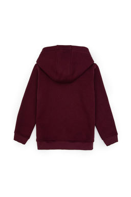 Erkek _ocuk Bordo Basic Kap__onlu Sweatshirt Sepette S_rpriz _ndirim - U.s. polo assn фото 2