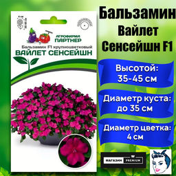 3402P Бальзамин F1 крупноцветковый ВАЙЛЕТ СЕНСЕЙШН 5шт
