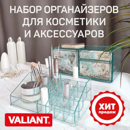 Органайзер для косметики и аксессуаров, 30,5*15,3*9 см, TRAVELLING, шт - Valiant фото 36