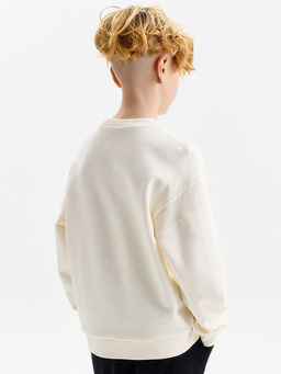 BFN3388/1U Толстовка для мальчиков