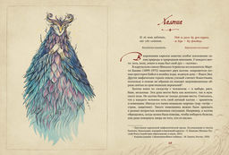 Карельские боги. За 300 лет до Калевалы. Древний свод. Бердашева Т. - Колибри фото 4