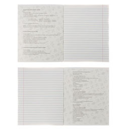 Набор предметных тетрадей Calligrata TOP «Аниме», 10 предметов, 48 листов, со справочным материалом, обложка из мелованного картона, твин-лак, выборо...