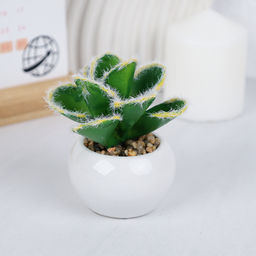 Цветочная композиция Кактус / WER-10 /уп 12/192/ микс