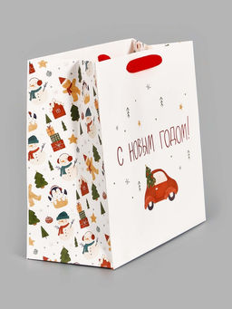 Цена за 2 шт. Пакет подарочный ламинированный новогодний Волшебного года, 22 ? 22 ? 11 см