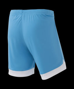 Шорты игровые JOGEL DIVISION PerFormDRY Union Shorts, голубой/белый/белый фото 4