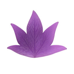 Blumentag Молд пластиковый FIOM-21 1 шт 01 Лист пиона - L