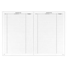 Классный журнал 10-11 класс арт. 5193