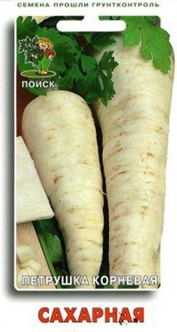 Петрушка Сахарная (ЦВ) 3гр. - Поиск фото 2
