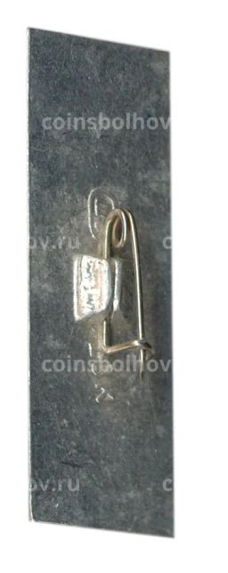 Значок Бородино 1812