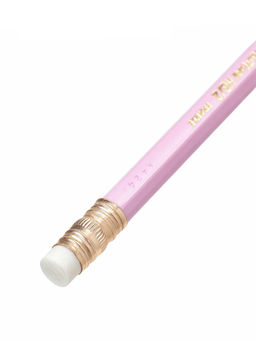 Карандаши чернографитные BIC HB Evolution «Пастель», набор 5 штук, пластиковые, с ластиками