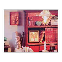 Конструктор "Книжный дом 3D" в коробке