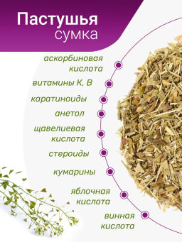 Пастушья сумка - Травы горного крыма фото 4