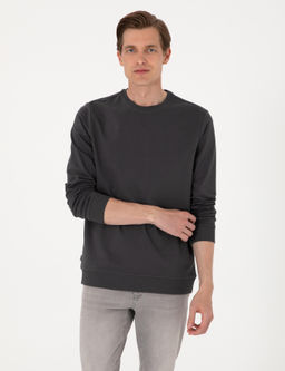 Antrasit 2 _plik Regular Fit Bisiklet Yaka Basic Sweatshirt