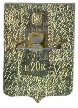 Значок Богодухов