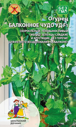 Огурец БАЛКОННОЕ ЧУДО УД F1 Скороспелый, теневыносливый гибрид! Зеленцы сладкие и хрустящие, без горечи! Для летнего возделывания на балконе!
