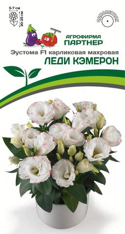 Эустома карликовая махровая розовая пикоти Леди Кэмерон