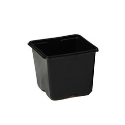 Цена за 100 шт. Горшок для рассады, 320 мл, 8×8×7 см, чёрный, Greengo