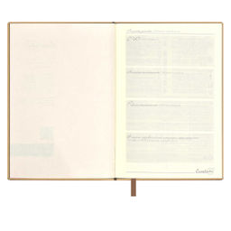 Ежедневник недатированный ESCALADA, А6+, 160 л., арт. 64217/ 20 КРОКО МЕТАЛЛИК ГРАФИТОВЫЙ  фото 4