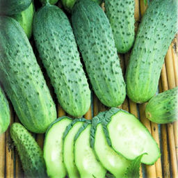 6210U Огурец Персей F1 5шт